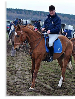 Paul Coady - Old Court Saddlery