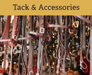 Tack & Accessories - Oldcourt Saddlery